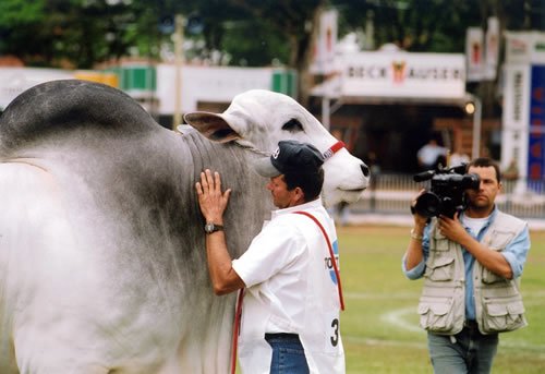 Sr Joo da Cruz e Feriado OB na Expoinel Uberaba 2004 - Dupla Campe